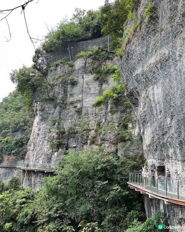 矮寨大橋驚險玻璃棧道體驗🏞️