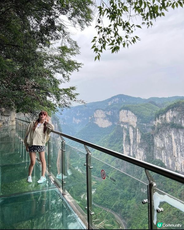 矮寨大橋驚險玻璃棧道體驗🏞️