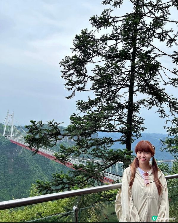 矮寨大橋驚險玻璃棧道體驗🏞️