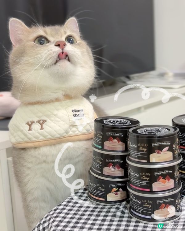 黑罐慕斯🥳 獵食美味😋