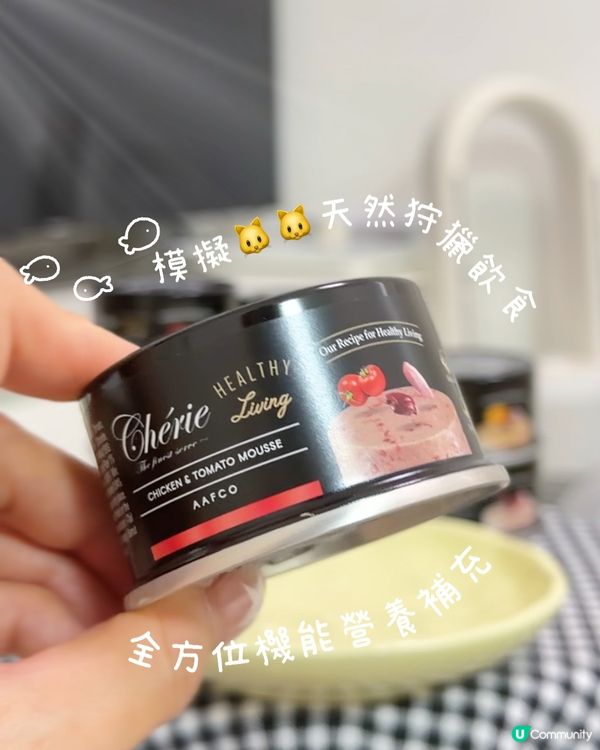 黑罐慕斯🥳 獵食美味😋