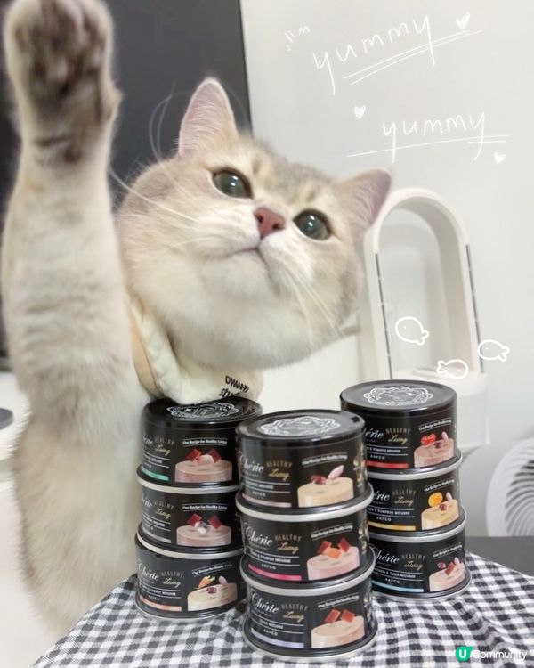黑罐慕斯🥳 獵食美味😋