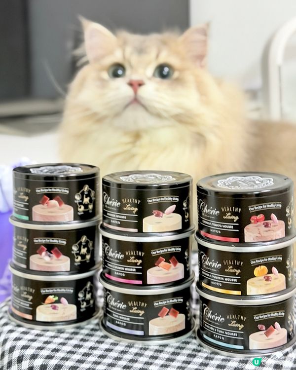 黑罐慕斯🥳 獵食美味😋