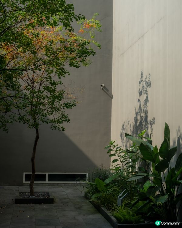 🎨深圳大芬美術館|免費入場!室內裝修別緻,仲有世界名畫可以睇...