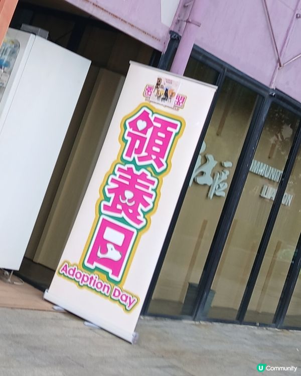 毛孩等家，東涌見！🐶🐱💖