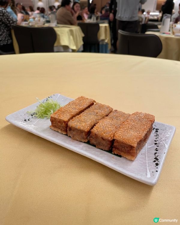 覓食在黃竹坑