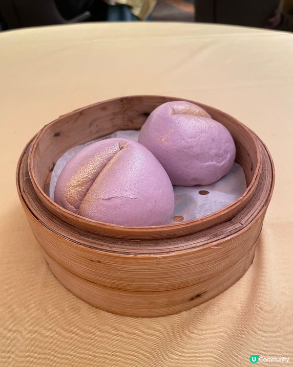 覓食在黃竹坑