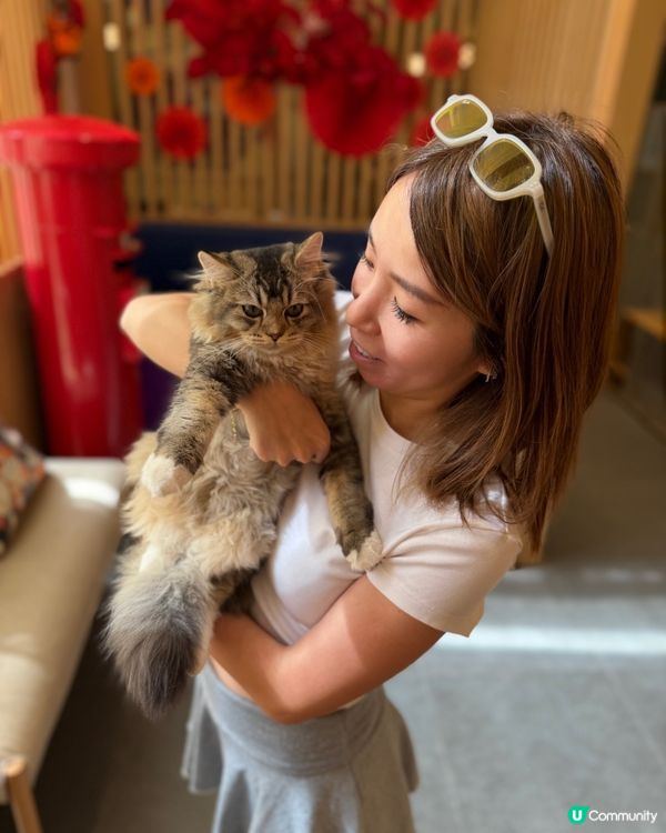 貓奴召喚！🐱🐾 尖沙咀美食新體驗！