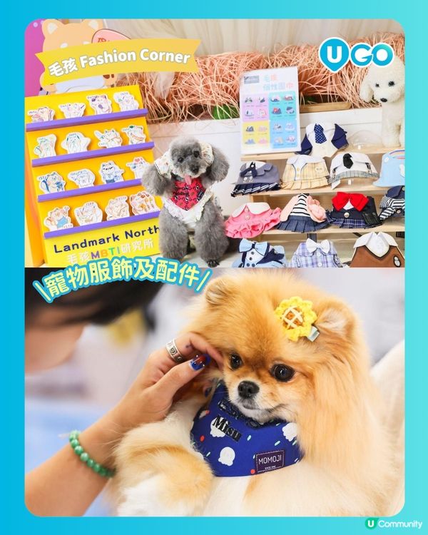 【寵物好去處！】Pet’s Studio上水廣場🐾