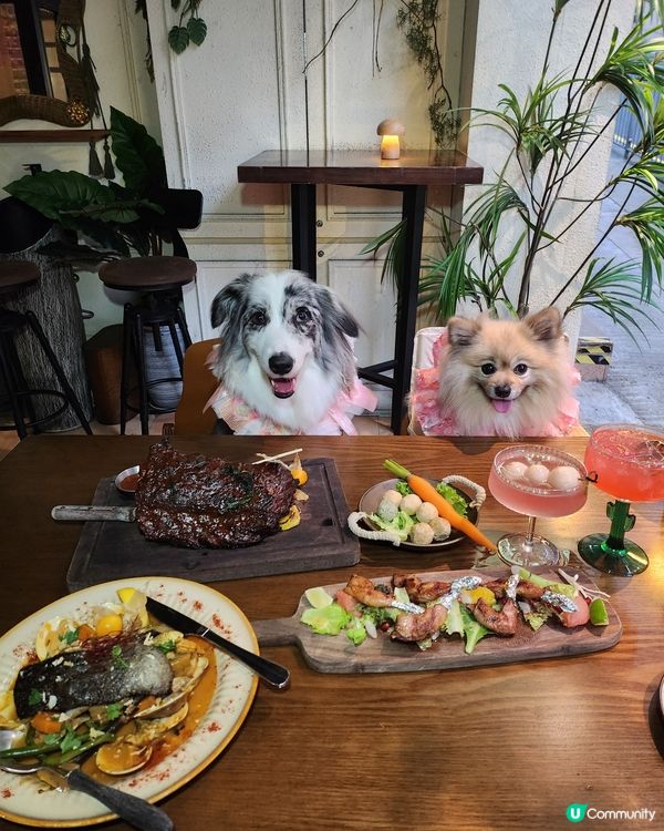 🐶🌵北角寵物友善墨西哥菜|打卡+美食一次滿足😍