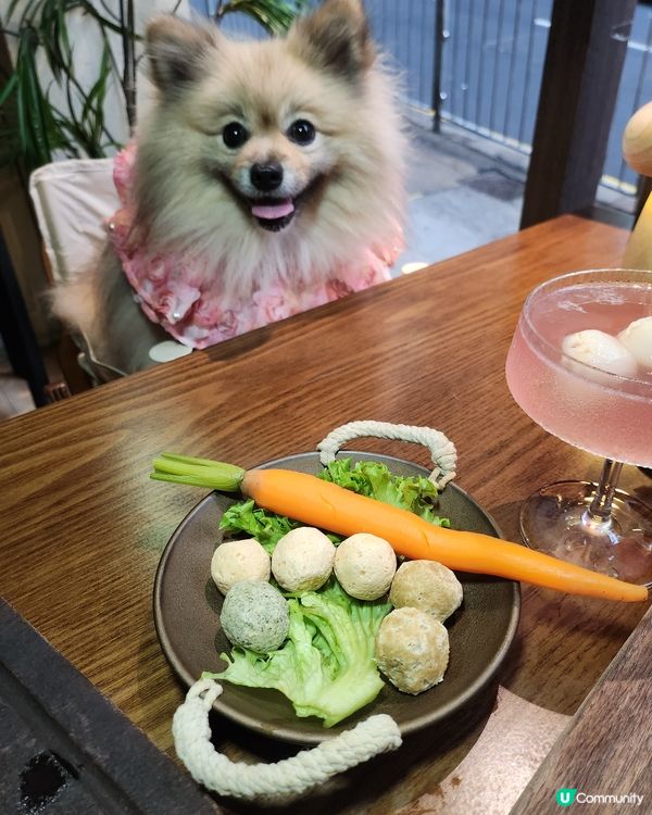🐶🌵北角寵物友善墨西哥菜|打卡+美食一次滿足😍