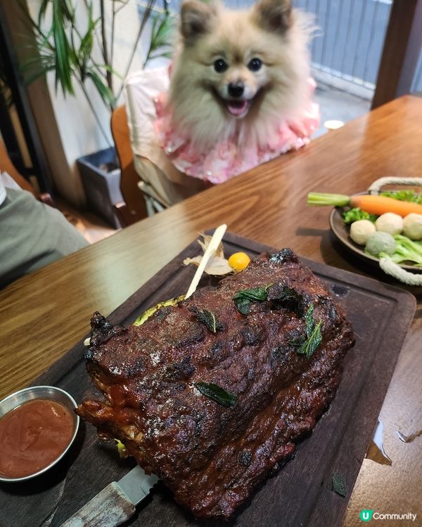 🐶🌵北角寵物友善墨西哥菜|打卡+美食一次滿足😍