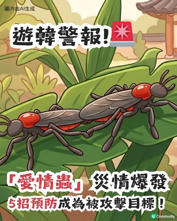 遊韓警報🚨 「愛情蟲」災情提早爆發！5招預防成為昆蟲大軍襲擊目標！