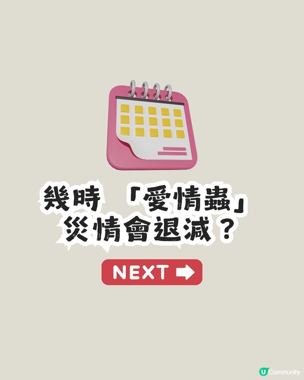 遊韓警報🚨 「愛情蟲」災情提早爆發！5招預防成為昆蟲大軍襲擊目標！