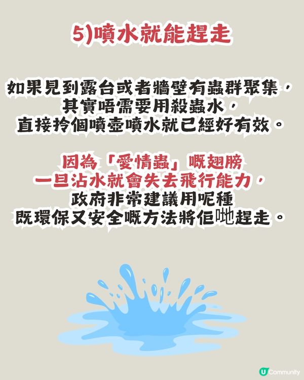 遊韓警報🚨 「愛情蟲」災情提早爆發！5招預防成為昆蟲大軍襲擊目標！