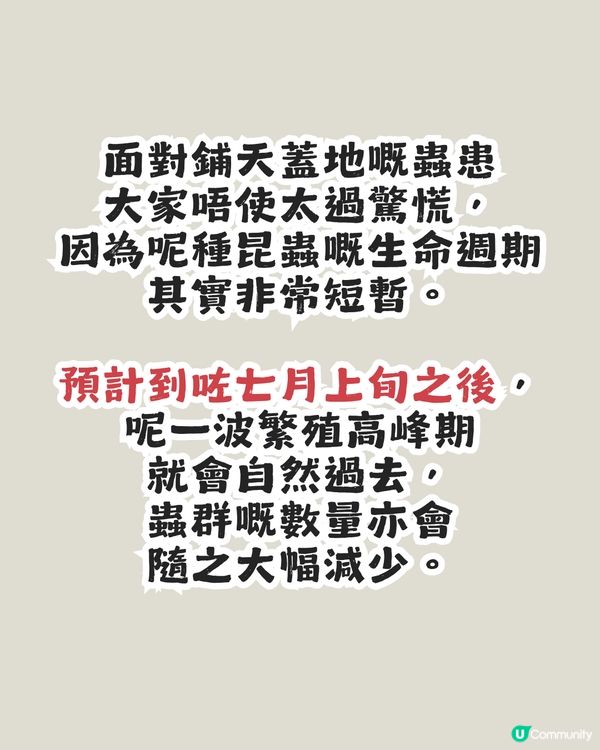 遊韓警報🚨 「愛情蟲」災情提早爆發！5招預防成為昆蟲大軍襲擊目標！