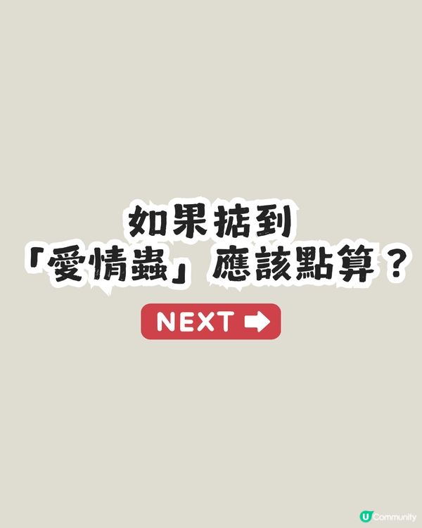 遊韓警報🚨 「愛情蟲」災情提早爆發！5招預防成為昆蟲大軍襲擊目標！
