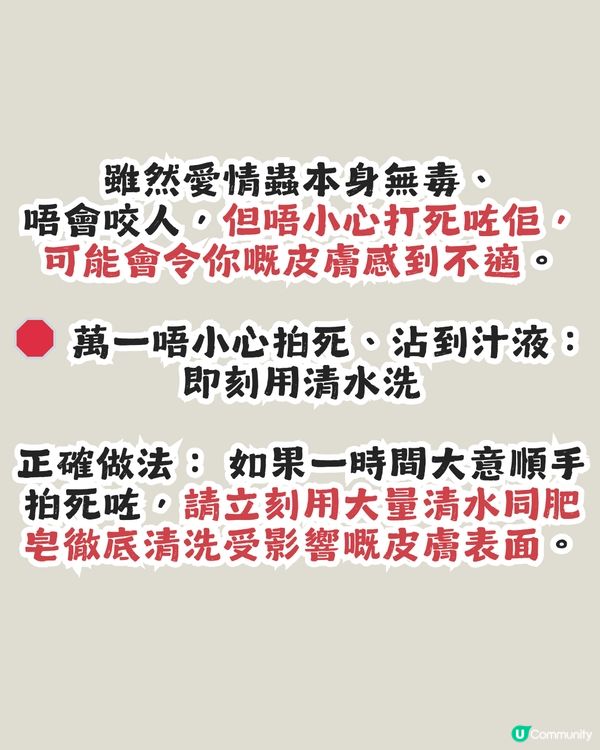 遊韓警報🚨 「愛情蟲」災情提早爆發！5招預防成為昆蟲大軍襲擊目標！