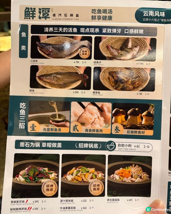 「鮮潭」蒸氣魚🐟奶白魚湯鮮到漏🤤