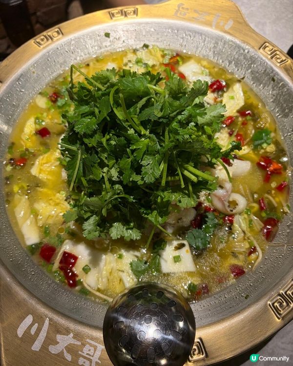 太子川大哥：新式川菜～吹水飲酒食串燒