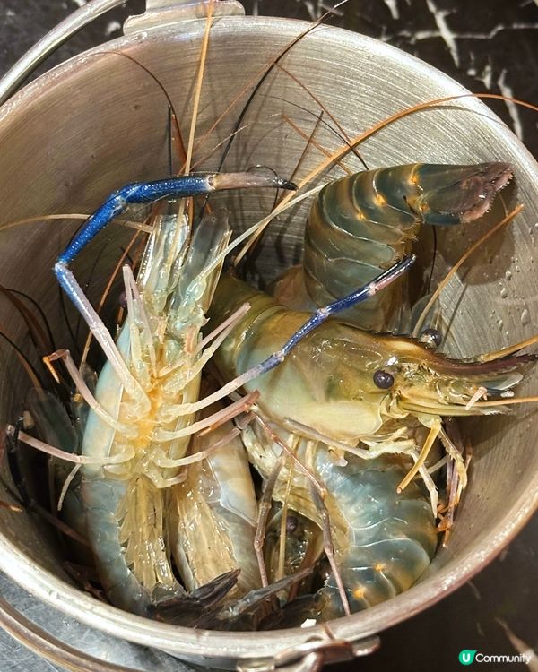北角都食到 烤榴蓮 即撈海鮮火鍋放題