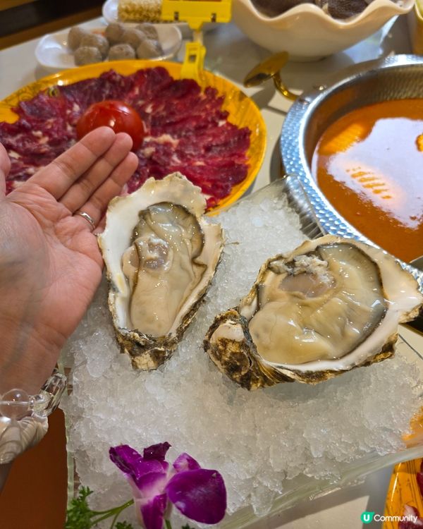 📍深圳必吃! 45年老字號潮汕大目牛肉火鍋新店！