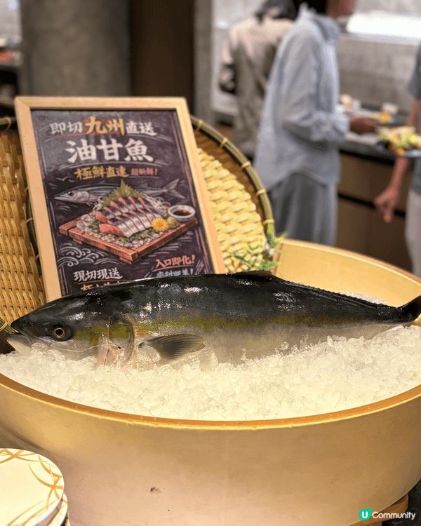 📸 【海鮮控必試】沙田 Alva House 全新「堂弄鮮嚐...