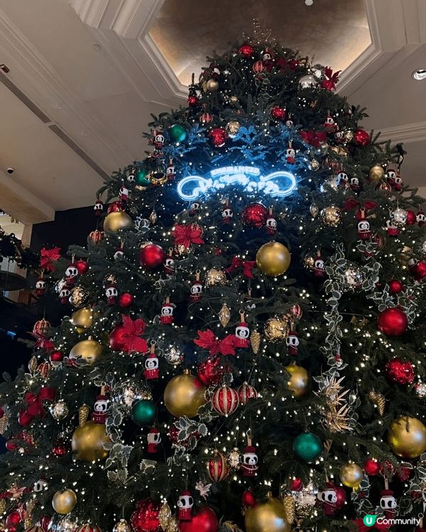 【終於搶到！九龍香格里拉麵包放題🥐🎄】