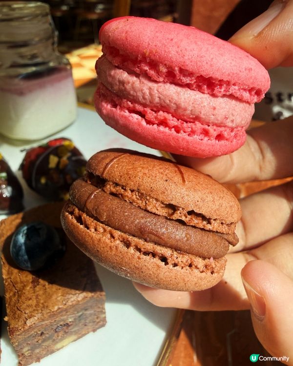 囡囡下午茶📸🍰🤤