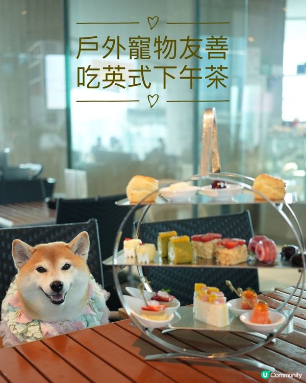 🍰帶Nana嘆英式夢幻下午茶🫖