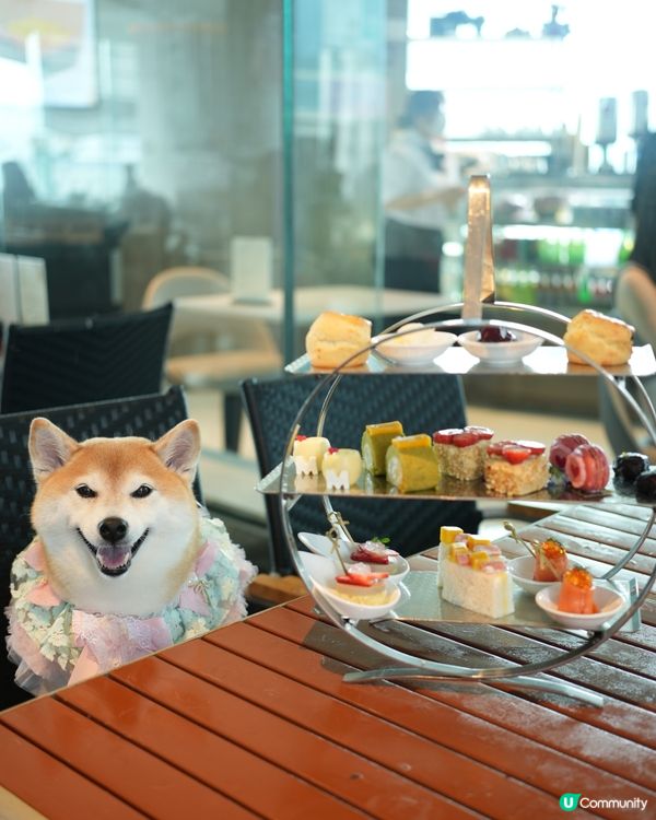 🍰帶Nana嘆英式夢幻下午茶🫖