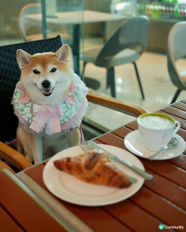 🍰帶Nana嘆英式夢幻下午茶🫖