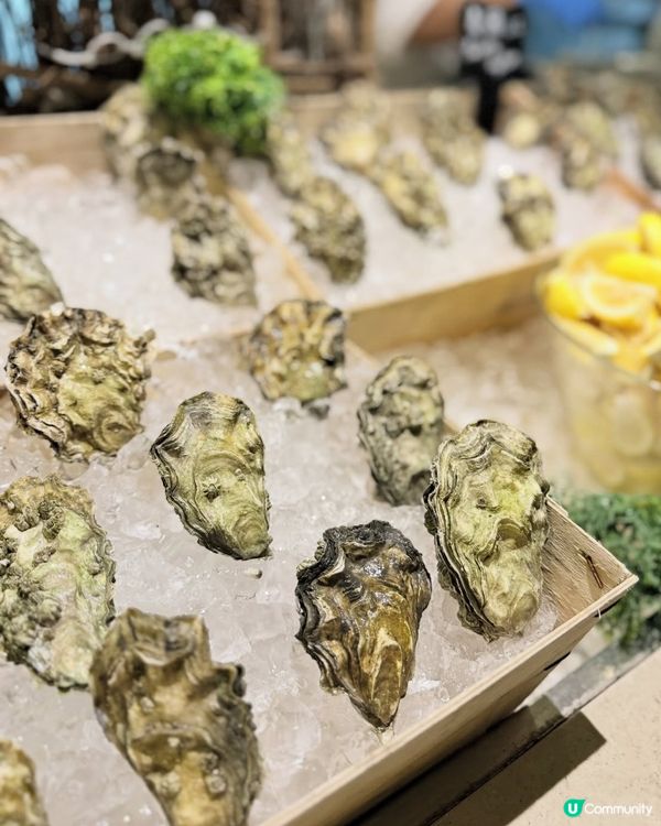 任食海鮮刺身高質佐賀牛!