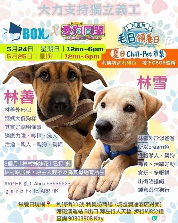 一齊領養小毛孩！🐶🐱💖領養不購買