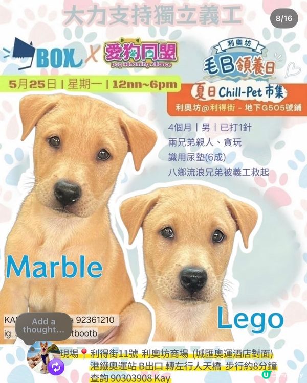 一齊領養小毛孩！🐶🐱💖領養不購買