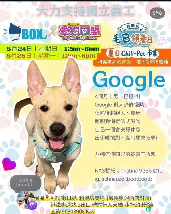 一齊領養小毛孩！🐶🐱💖領養不購買