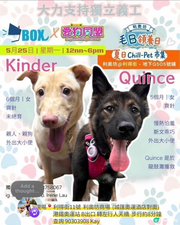 一齊領養小毛孩！🐶🐱💖領養不購買