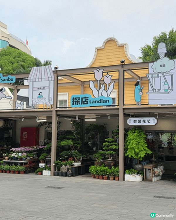 深圳南山荷蘭花卉小鎮，如碰上有主題花海及展覽，可以好好欣賞一...
