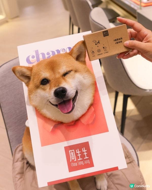  Charme 寵物系列黃金串珠