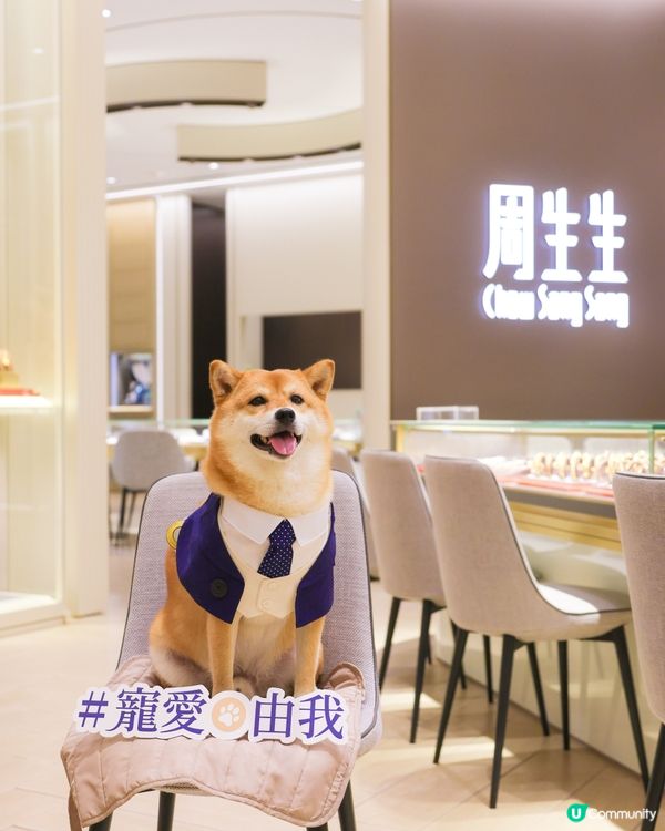  Charme 寵物系列黃金串珠