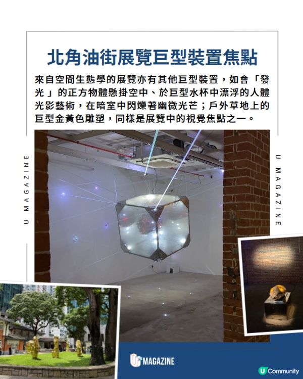 北角油街展覽潛入水底光影世界🫧
