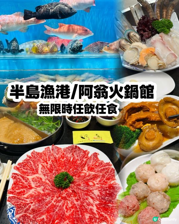半島漁港/阿翁火鍋館,無限時任食任飲一價全包,