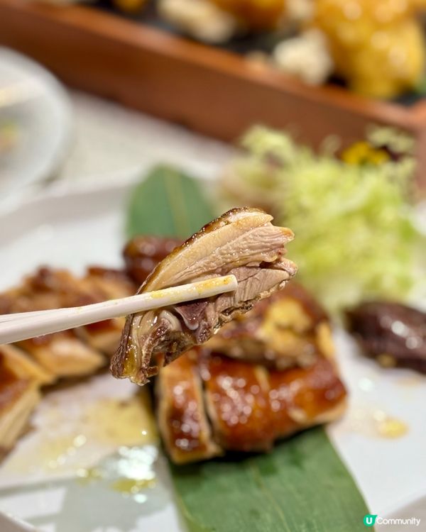 何文田都大精緻中菜  環境舒適食物高質