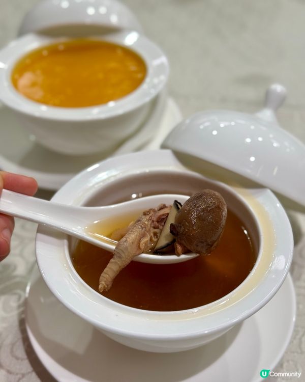 何文田都大精緻中菜  環境舒適食物高質