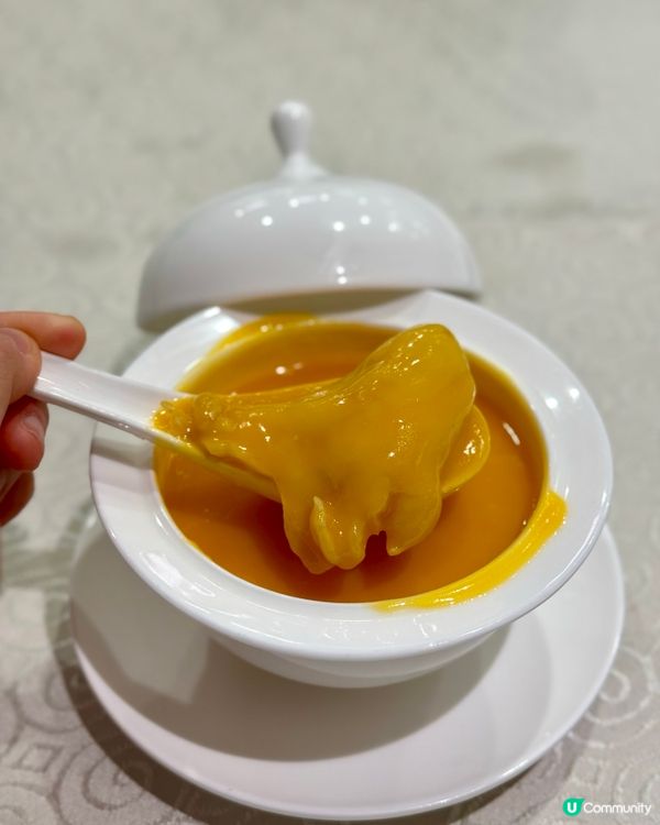 何文田都大精緻中菜  環境舒適食物高質