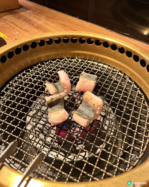 ʚ♡ 海陸雙拼燒烤美食推介 • 燒脆鱔焦香美味必試 ♡ɞ 