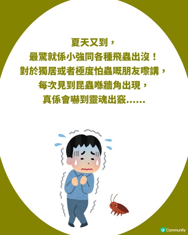 日本必買！3COINS全新「捕蟲神器2.0」！伸縮設計+一鍵無接觸丟棄