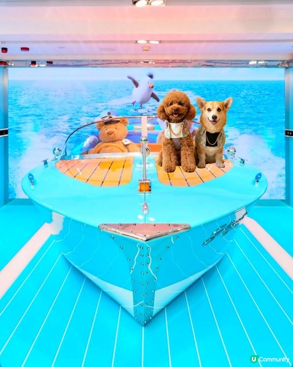 全球首間
JellycatYacht Club 