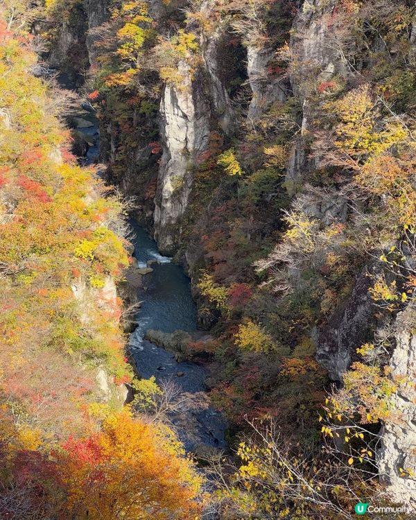 🍁🍁日本東北紅葉之旅🍁🍁仙台 鳴子峽