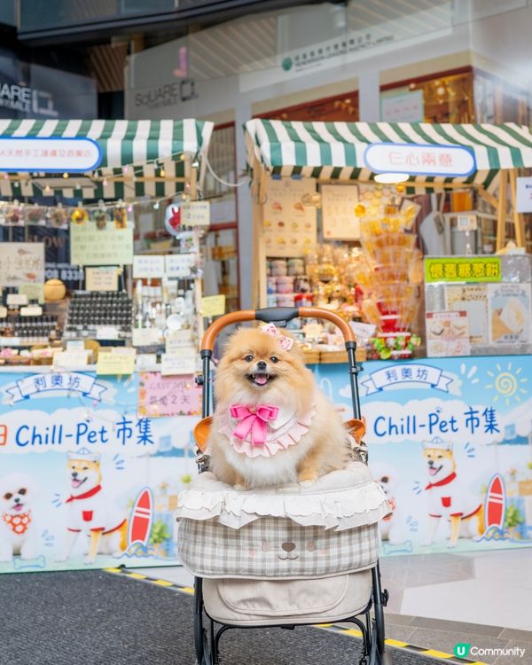 週末好去處！浪浪領養+市集！🐶🥳